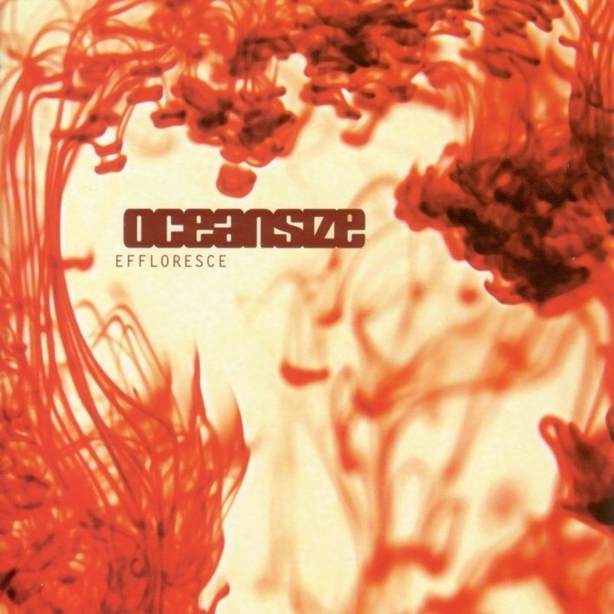 Afbeelding van Oceansize - Effloresce