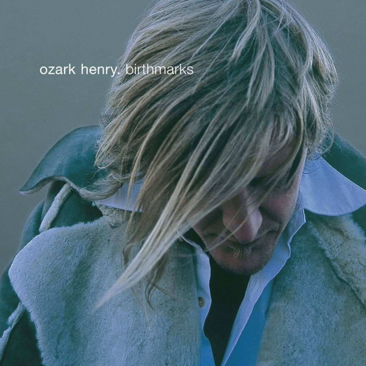 Afbeelding van Ozark Henry - Birthmarks