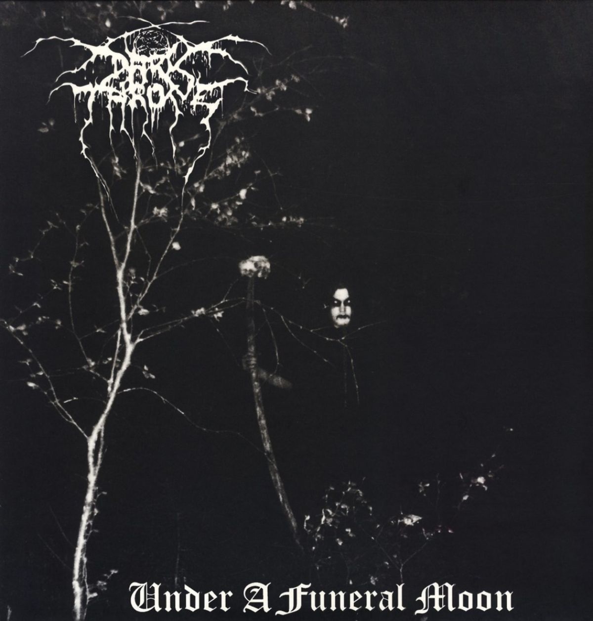 Afbeelding van Under A Funeral Moon