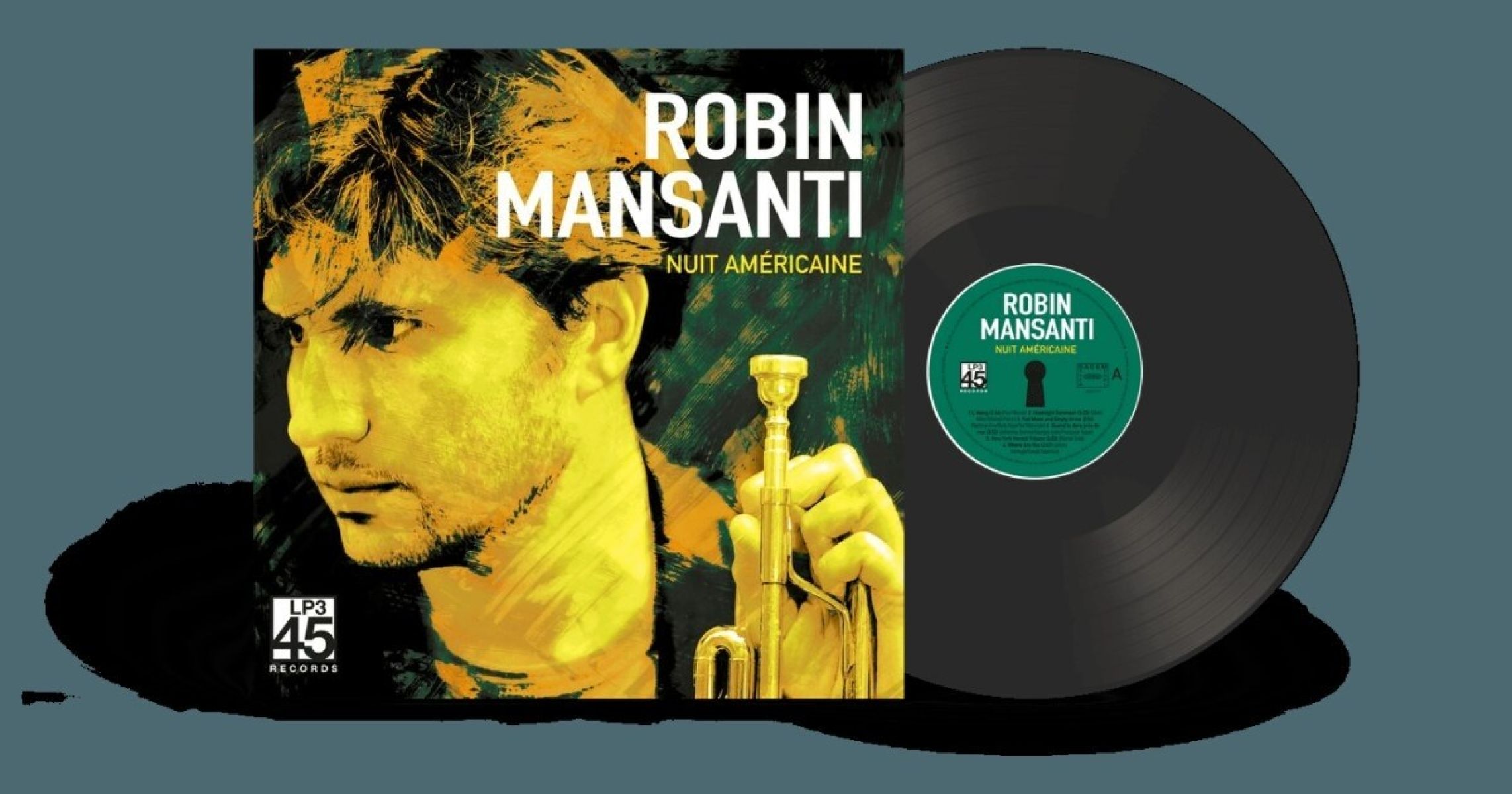 Afbeelding van Robin Mansanti - Nuit Américaine