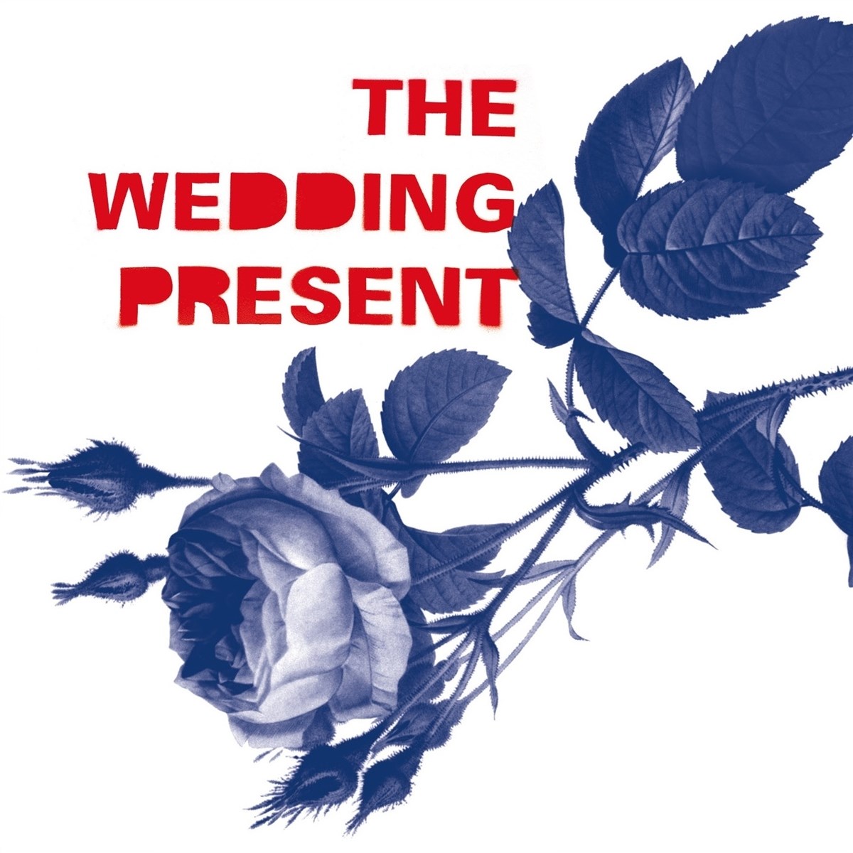 Afbeelding van The Wedding Present - Tommy 30