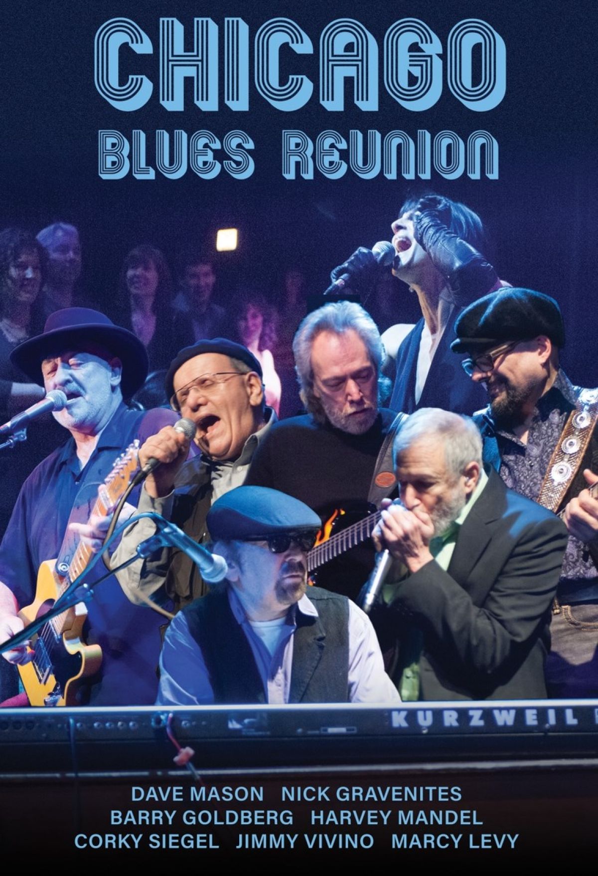 Various Artists - Chicago Blues Reunion