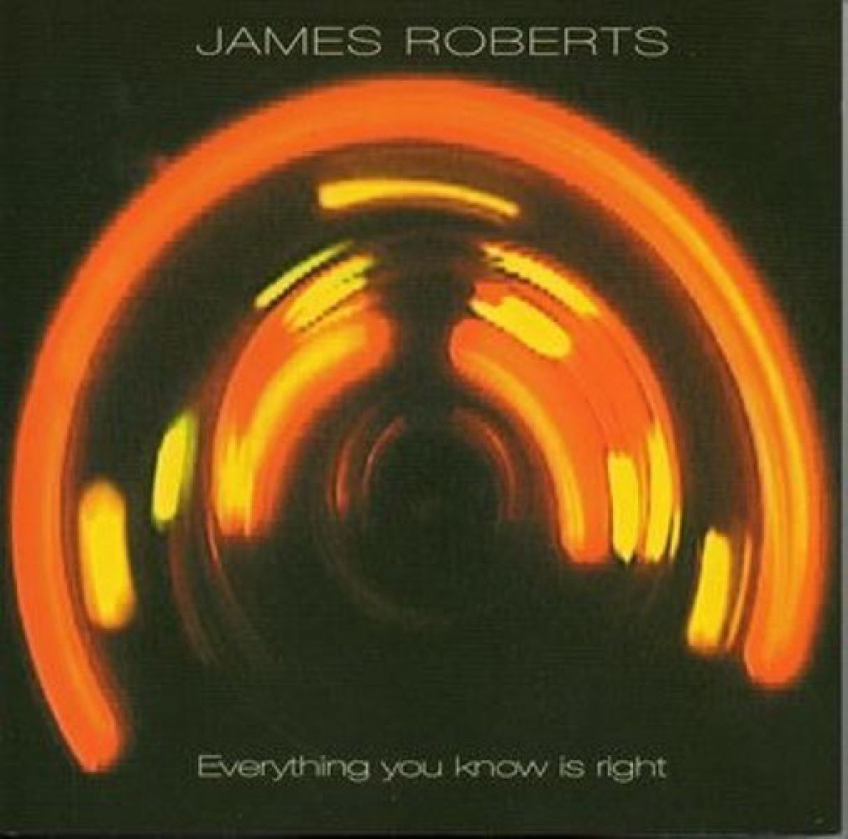 Afbeelding van James Roberts - Everything You Know Is Right