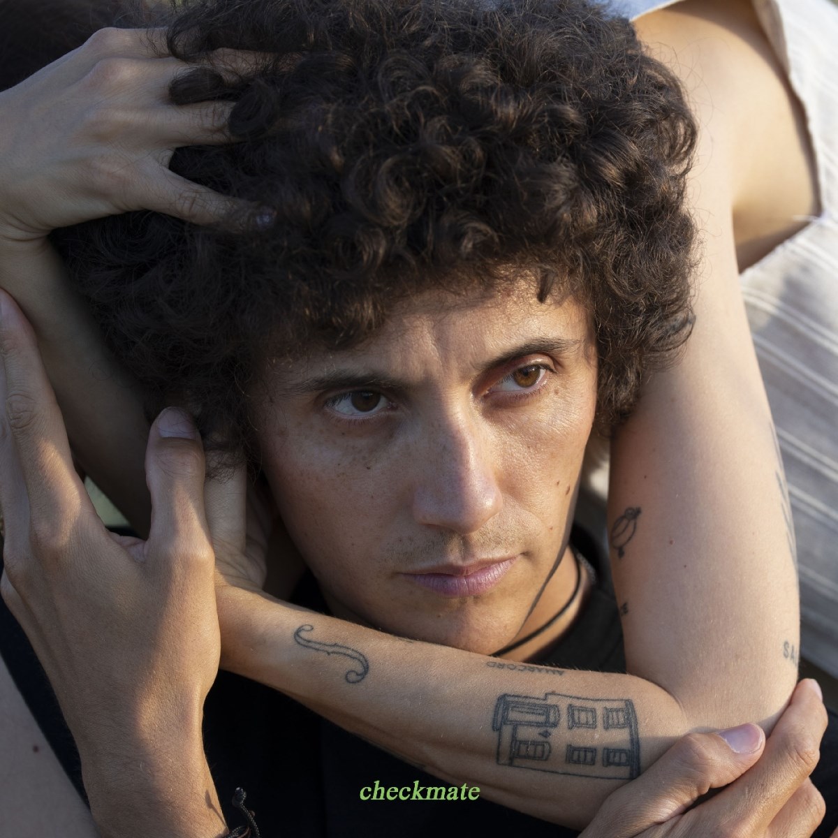 Afbeelding van Ron Gallo - Checkmate