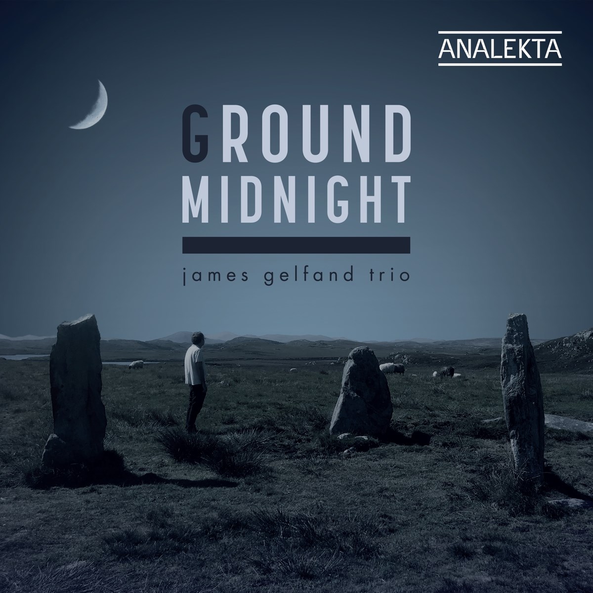 Afbeelding van James Gelfand Trio - Ground Midnight
