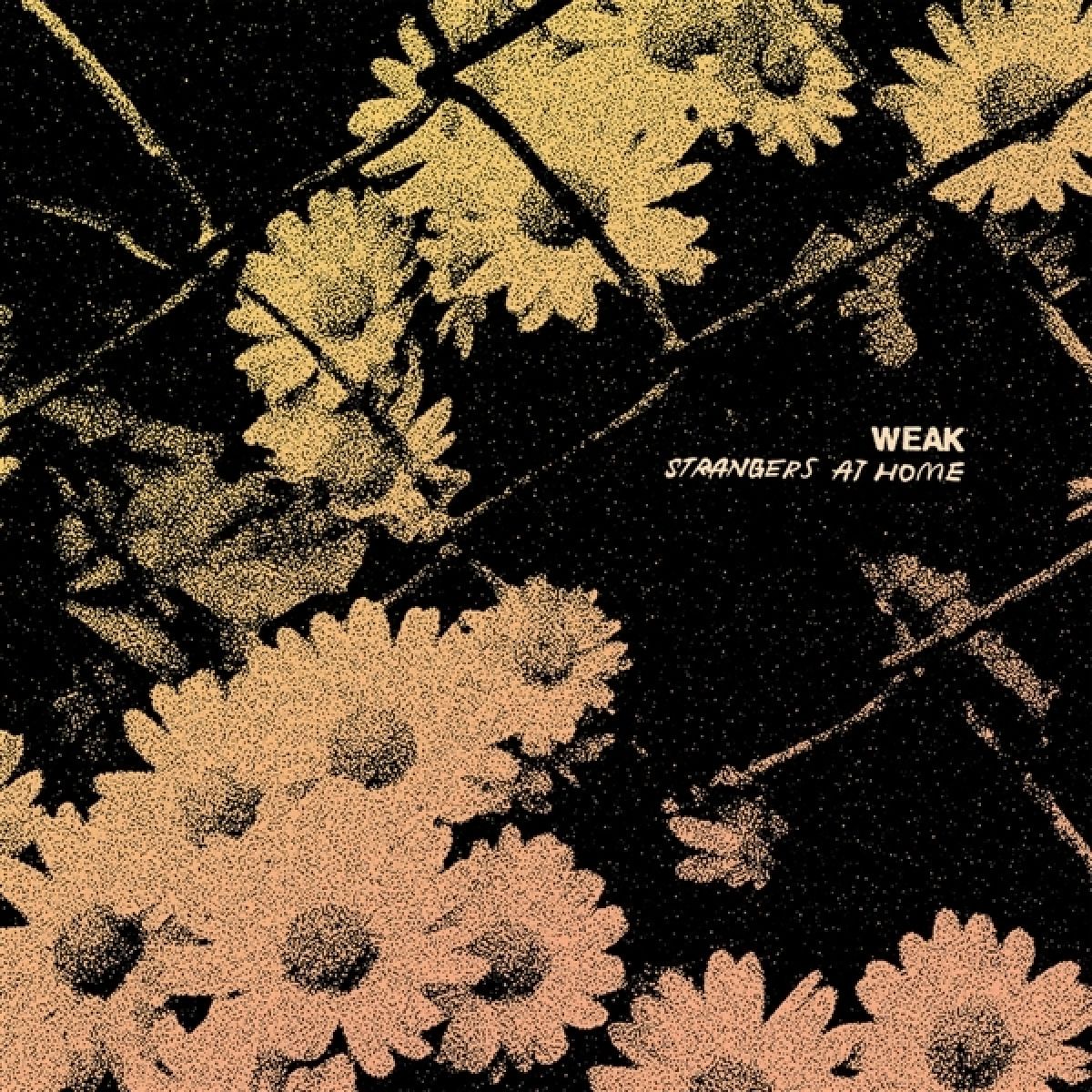 Afbeelding van Weak - Strangers At Home
