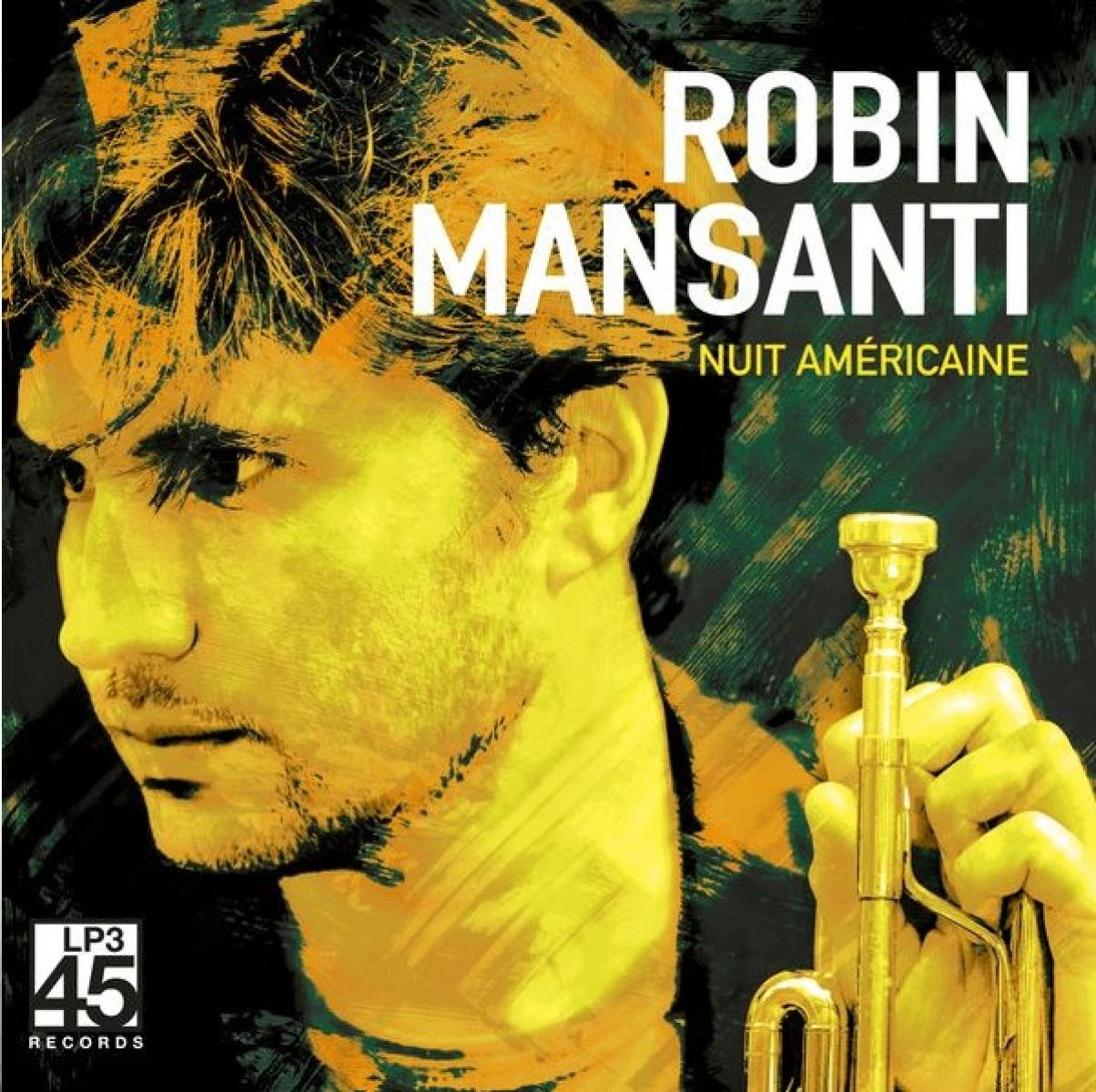 Afbeelding van Robin Mansanti - Nuit Américaine
