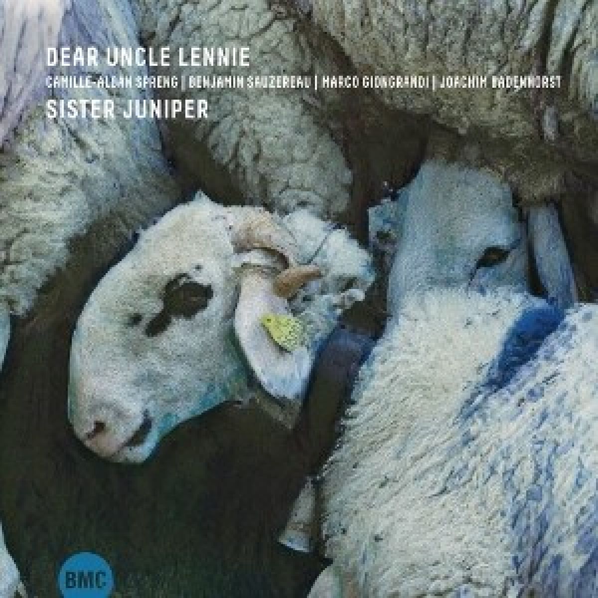 Afbeelding van Dear Uncle Lennie - Sister Juniper