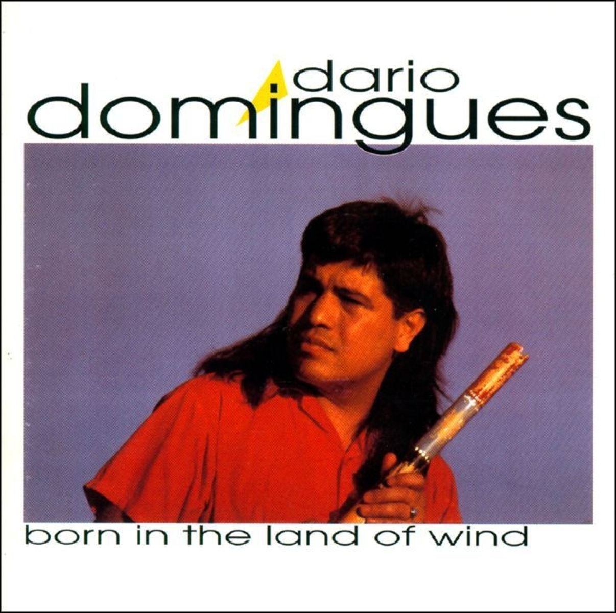 Afbeelding van Dario Domingues - Born In The Land Of Wind