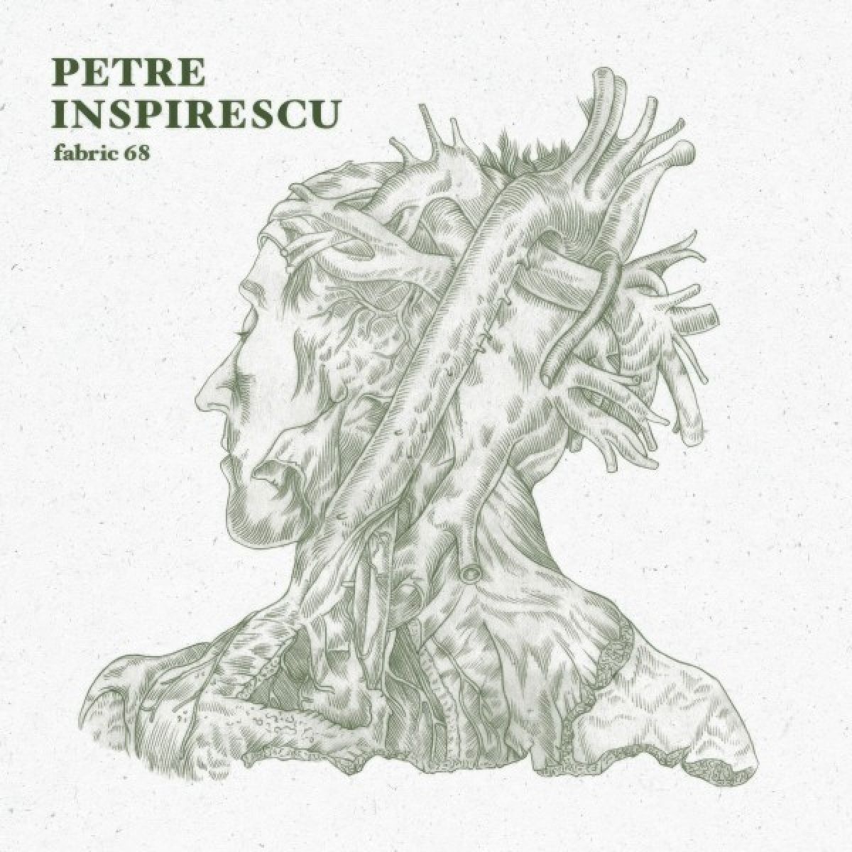 Afbeelding van Fabric 68: Petre Inspirescu
