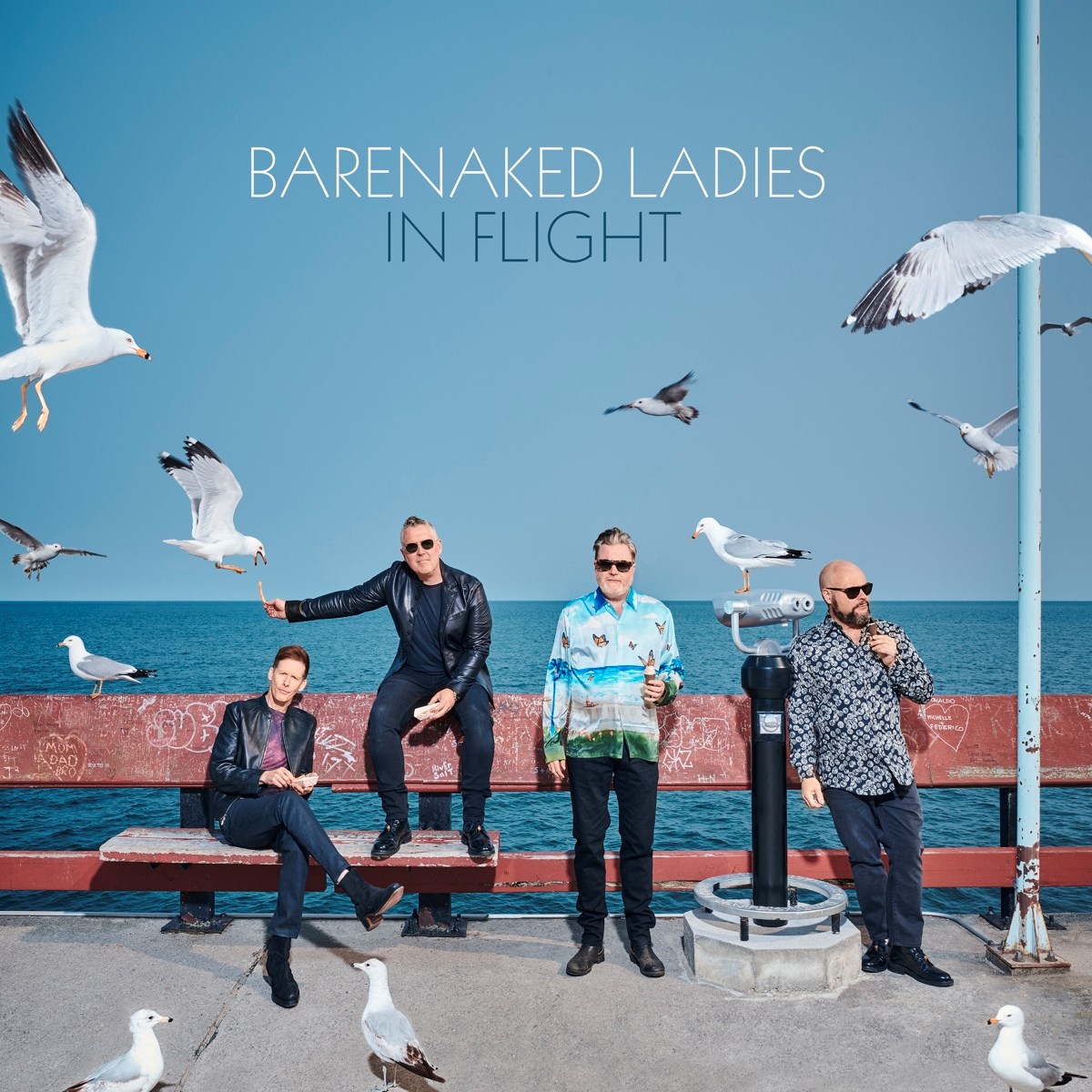Afbeelding van Barenaked Ladies - In Flight