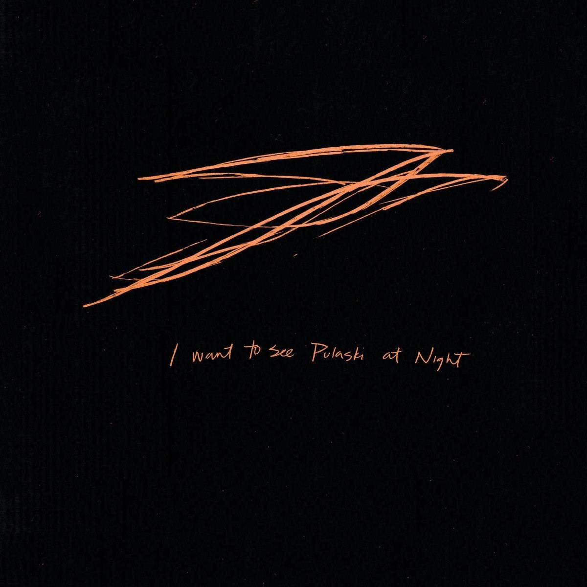 Afbeelding van Andrew Bird - I Want To See Pulaski At Night