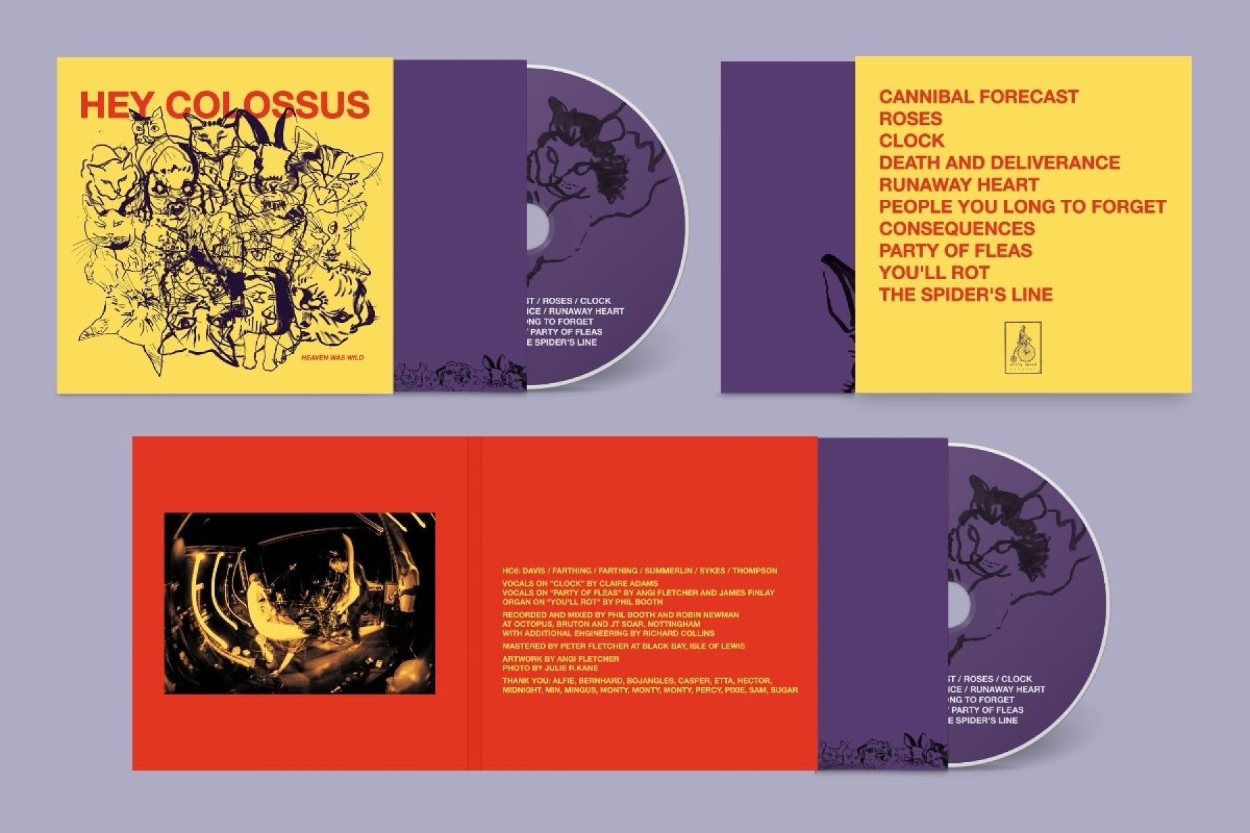 Afbeelding van Hey Colossus - Heaven Was Wild