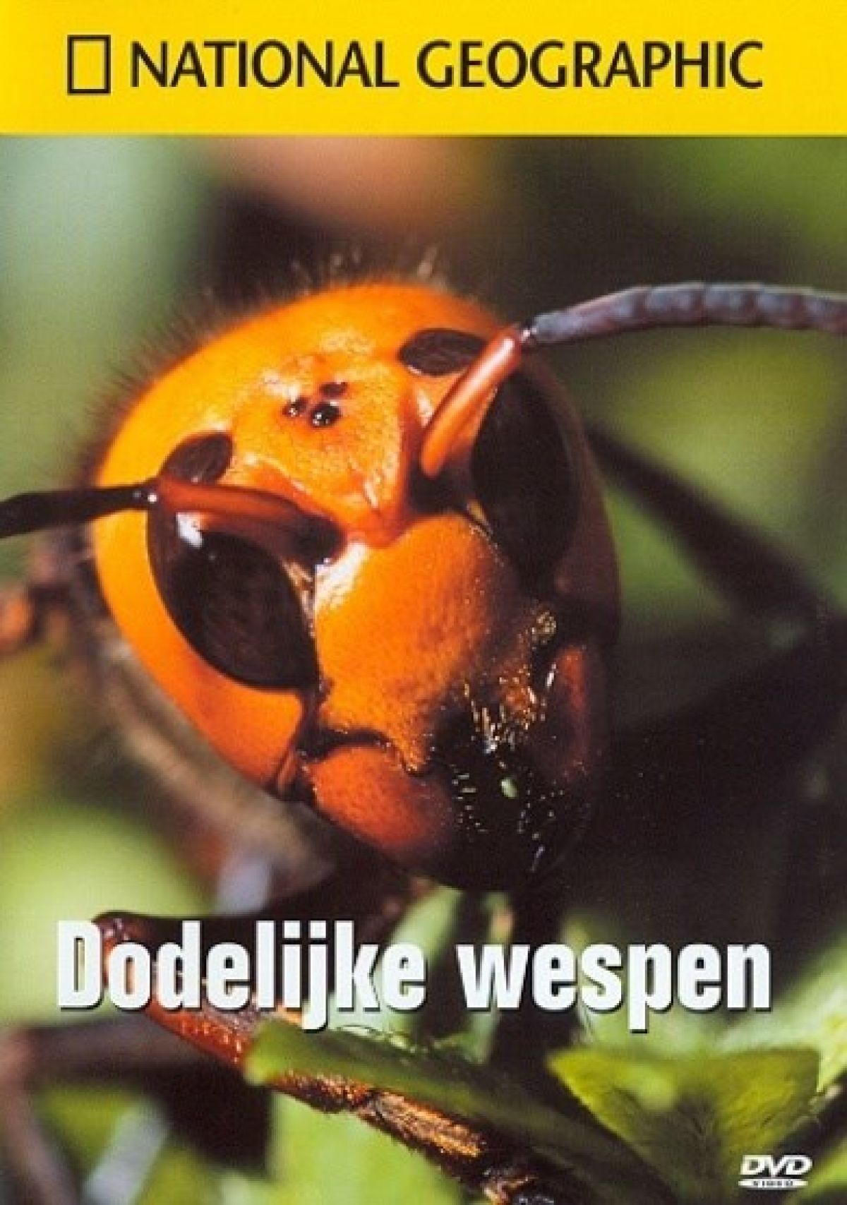 Afbeelding van National Geographic - Dodelijke Wespen
