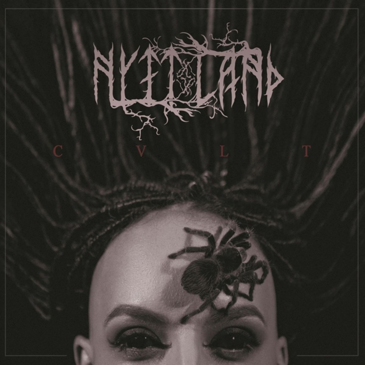 Afbeelding van Nytt Land - Cvlt