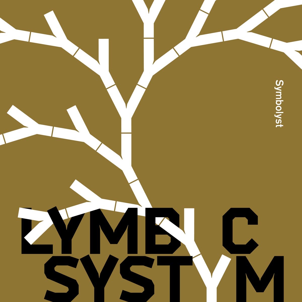 Afbeelding van Lymbyic System - Symbolyst