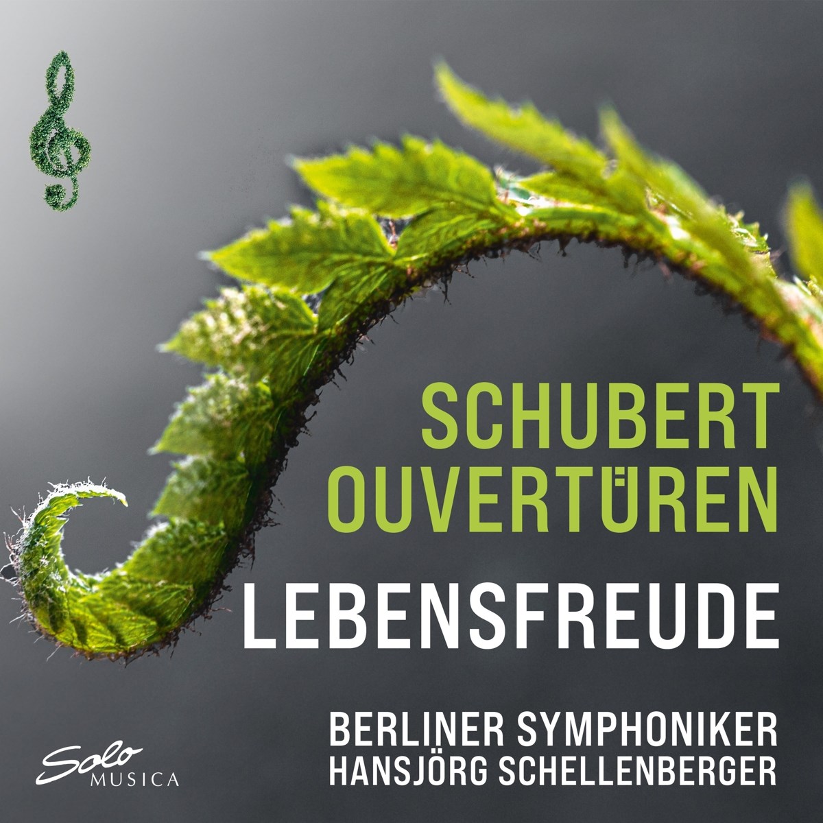 Afbeelding van Berliner Symphoniker, Hansjörg Schellenberger - Schubert Ouvertüren 'Lebensfreude'