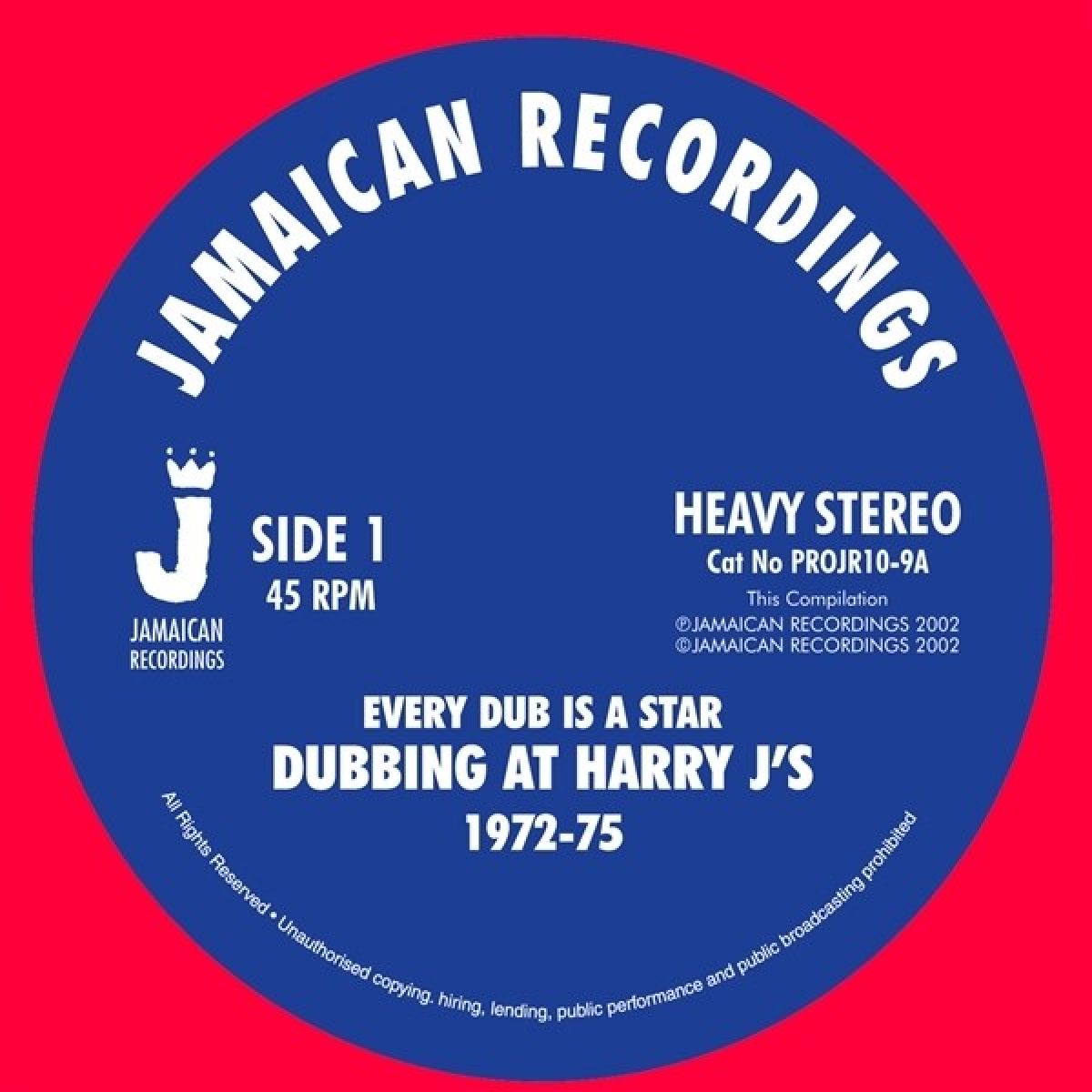Afbeelding van Various Artists - Every Dub Is A Star
