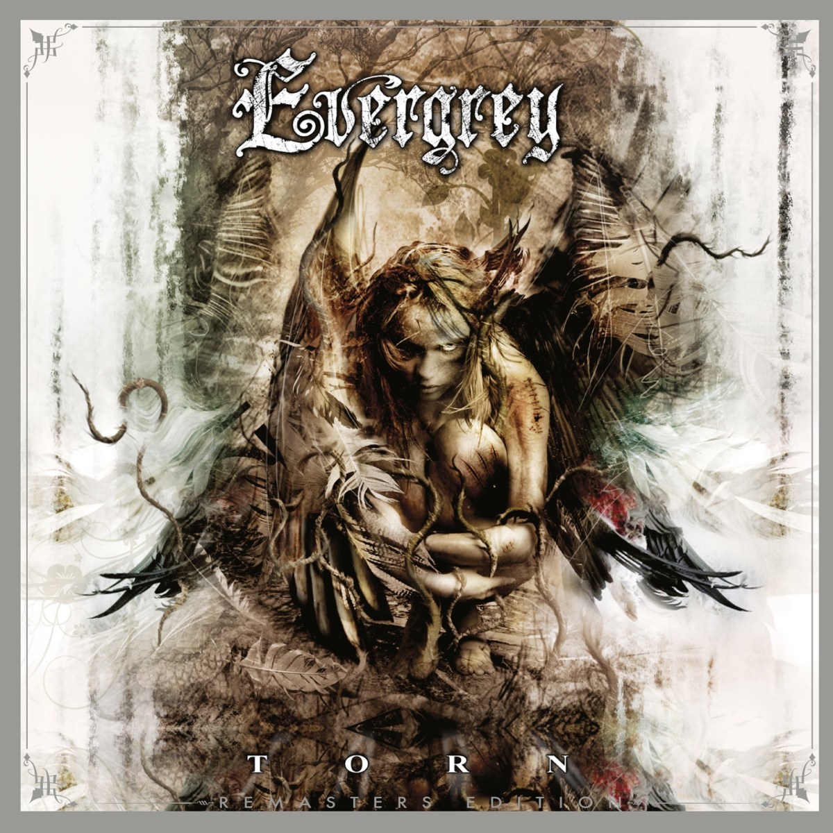 Afbeelding van Evergrey - Torn
