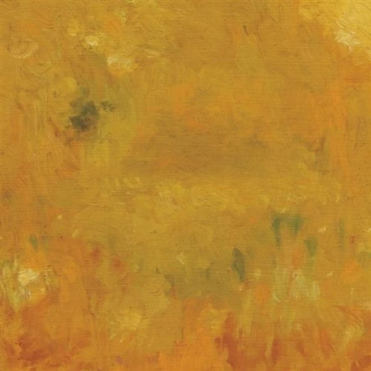 Afbeelding van Bevel - Where Leaves Block The Sun