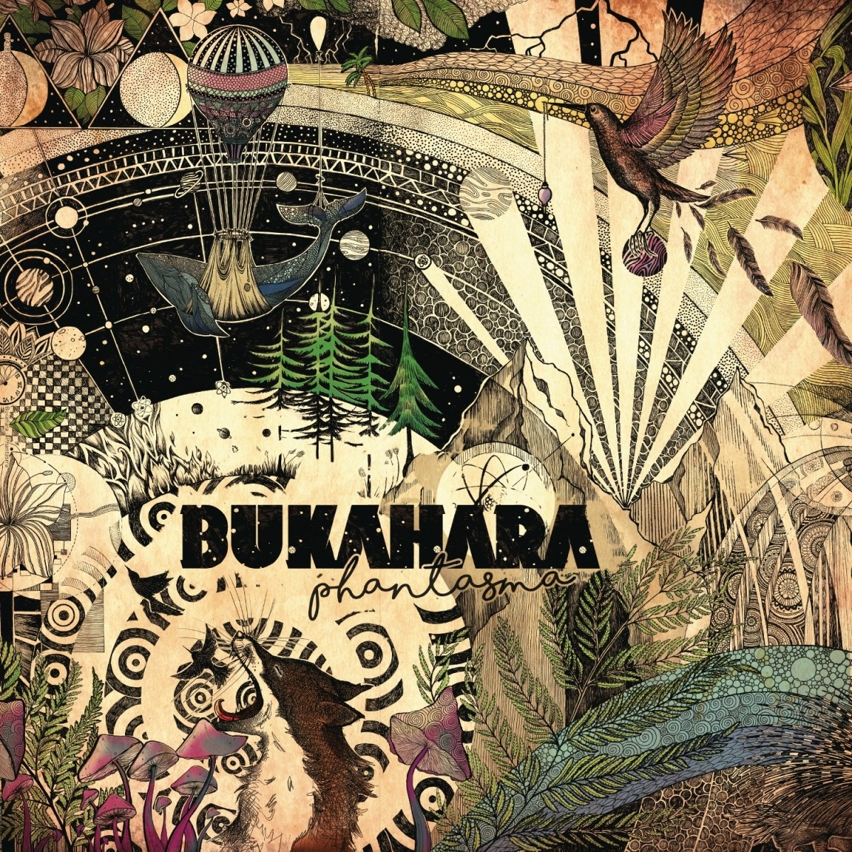 Afbeelding van Bukahara - Phantasma