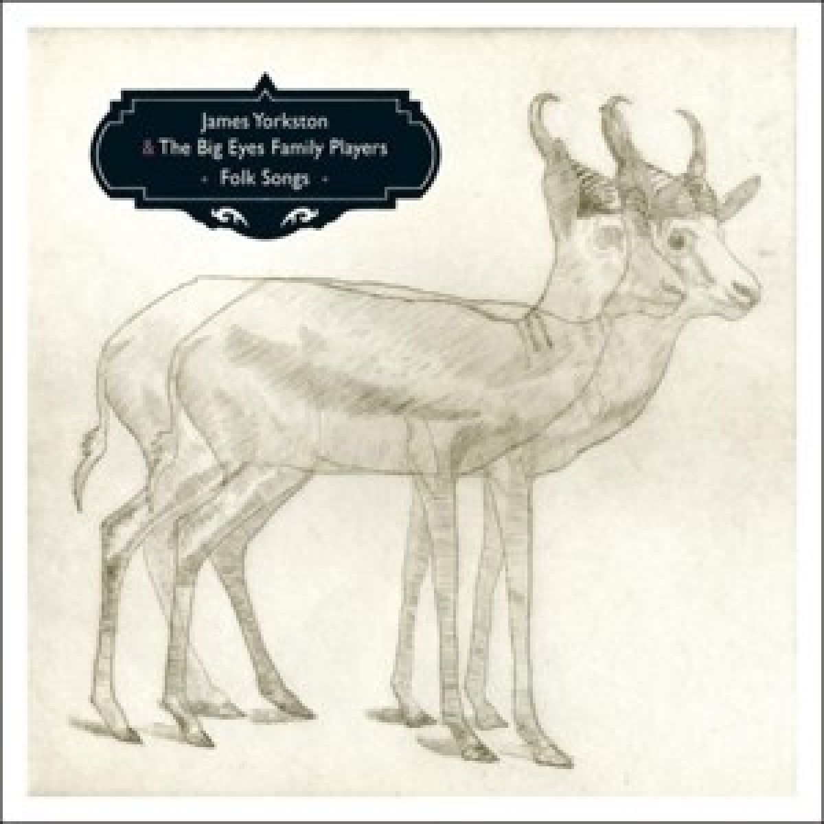 Afbeelding van James Yorkston - Folk Songs