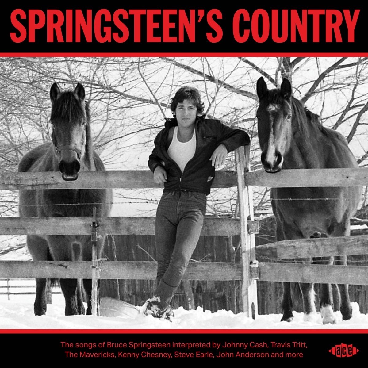 Afbeelding van Various Artists - Springsteen's Country