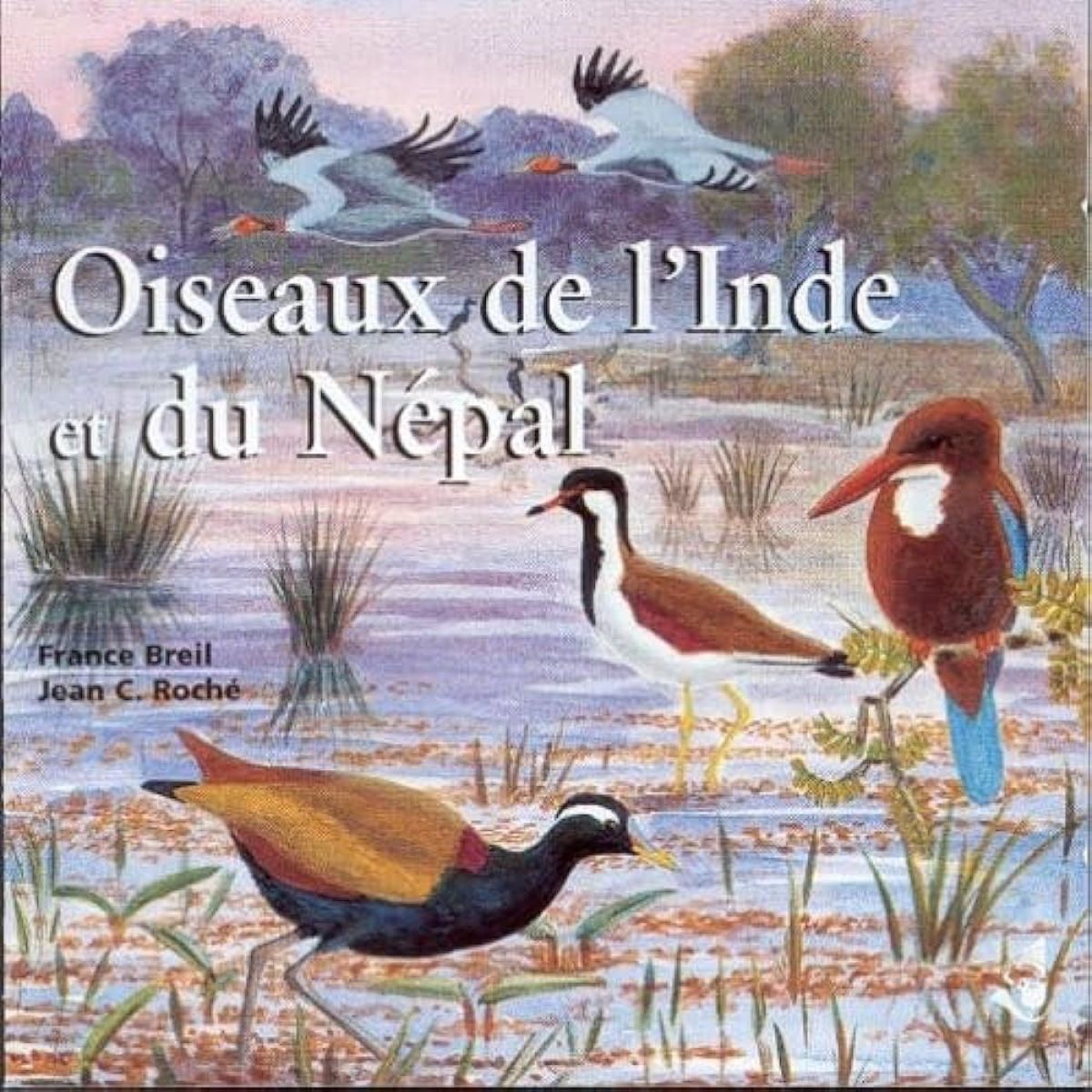Afbeelding van Various Artists - Oiseaux De L'Inde Et Du Nepal