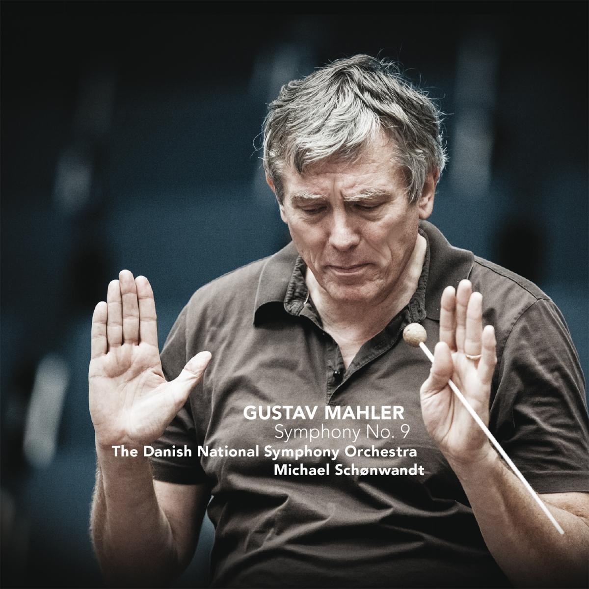 Afbeelding van Symphony No.9