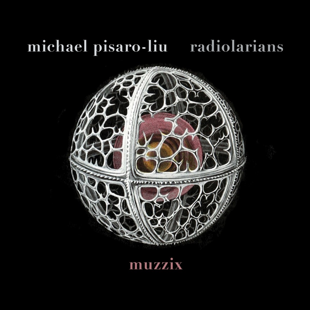 Afbeelding van Muzzix - Michael Pisaro-Liu: Radiolarians
