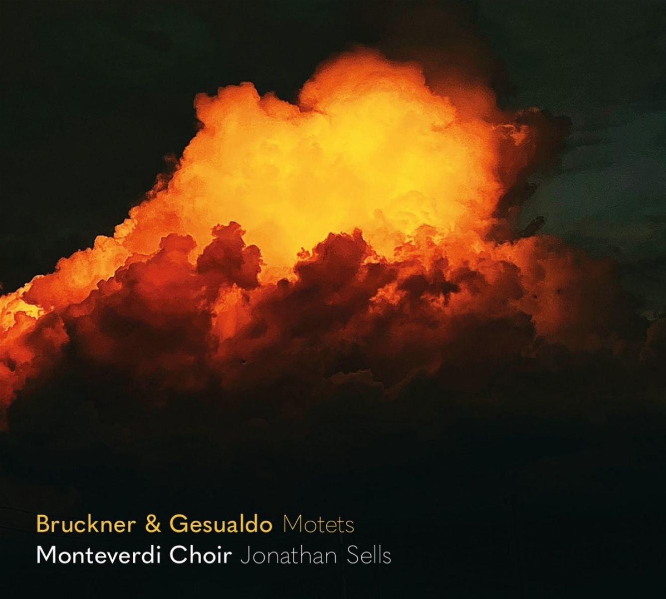 Afbeelding van Monteverdi Choir & Jonathan Sells - Bruckner & Gesualdo: Echoing Across The Centuries