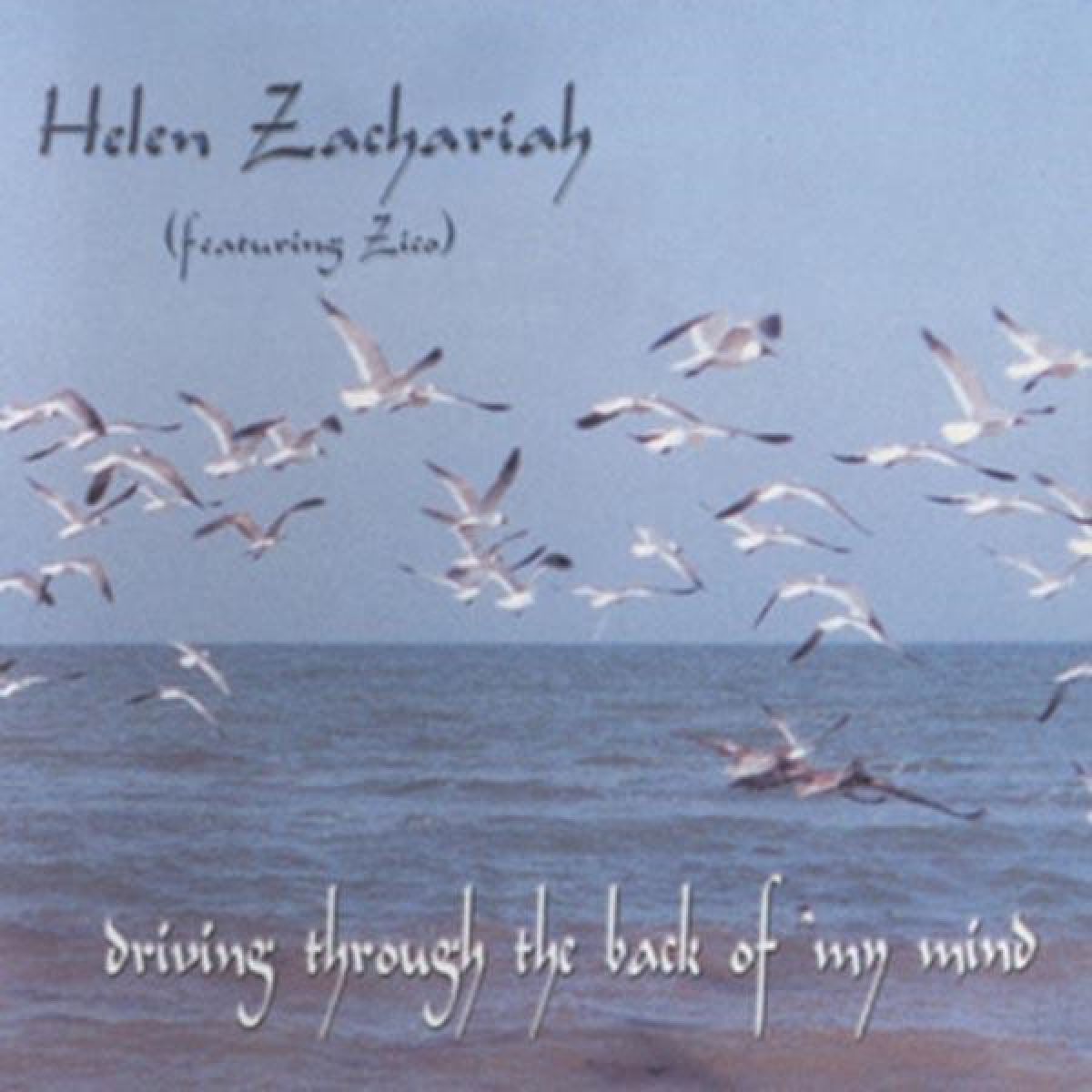 Afbeelding van Helen Zachariah - Driving Through The Back Of My Mind