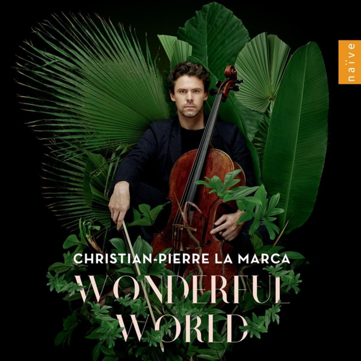 Afbeelding van Christian-Pierre La Marca - Wonderful World