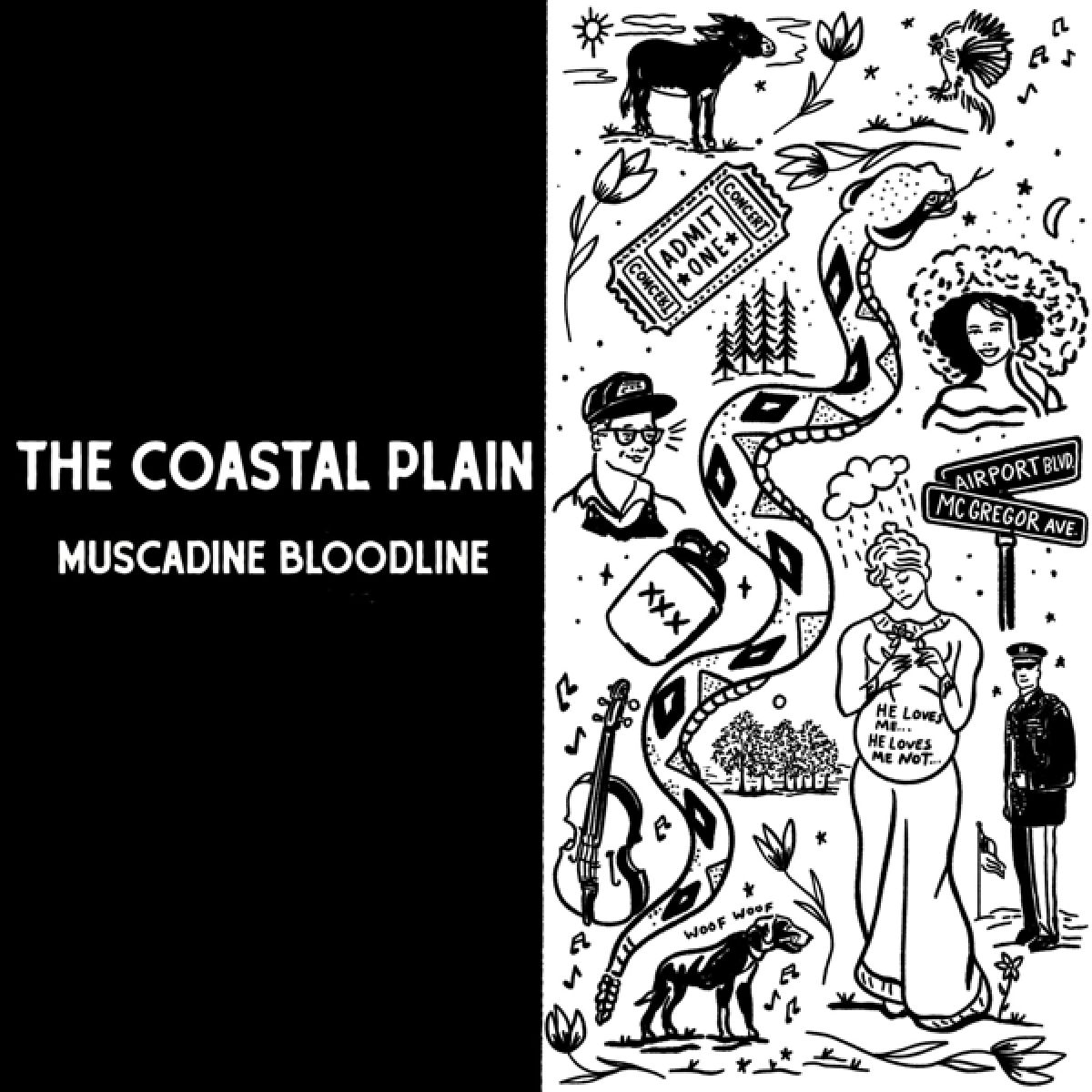Afbeelding van Muscadine Bloodline - The Coastal Plain