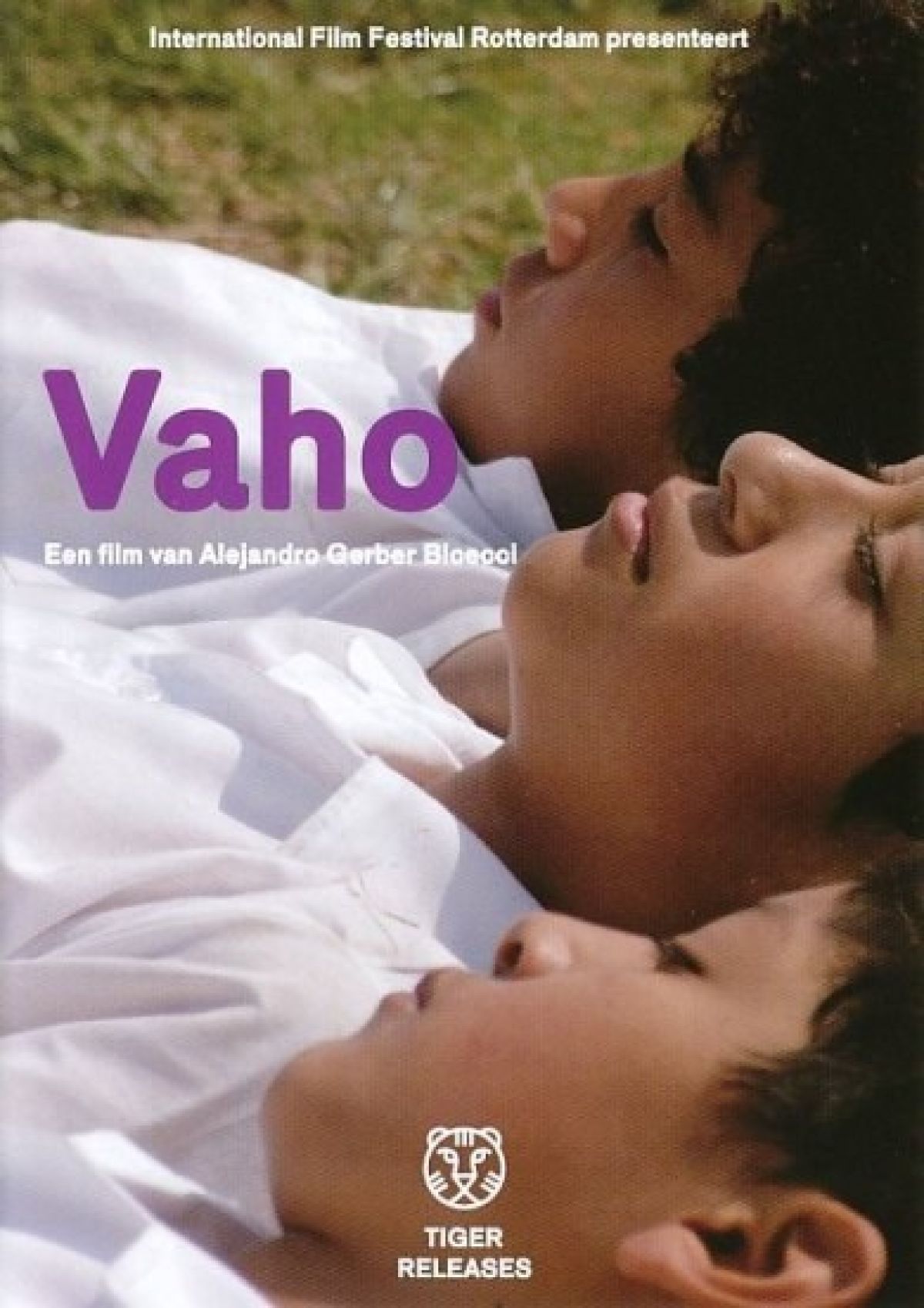 Afbeelding van Vaho