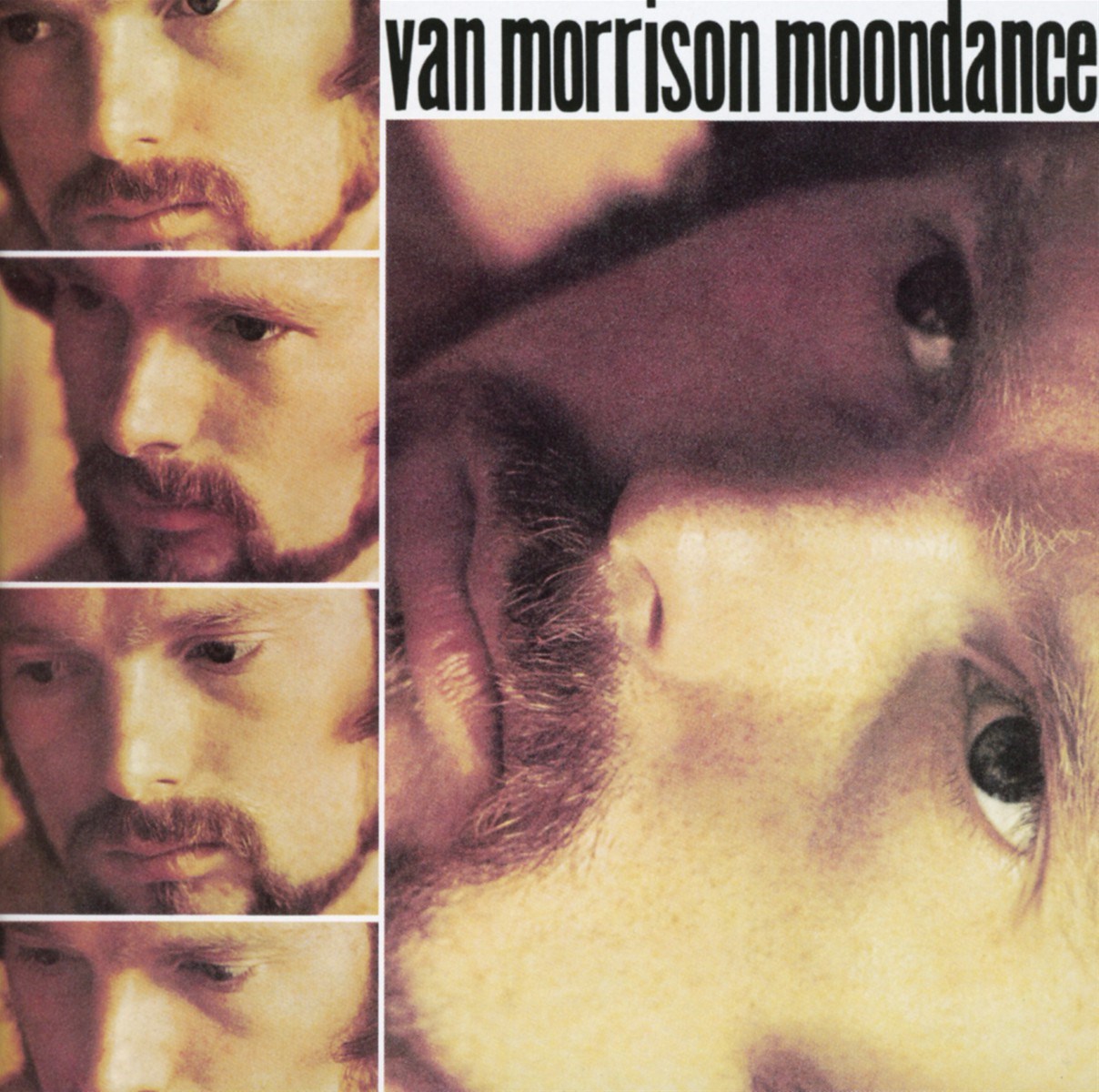 Afbeelding van Van Morrison - Moondance