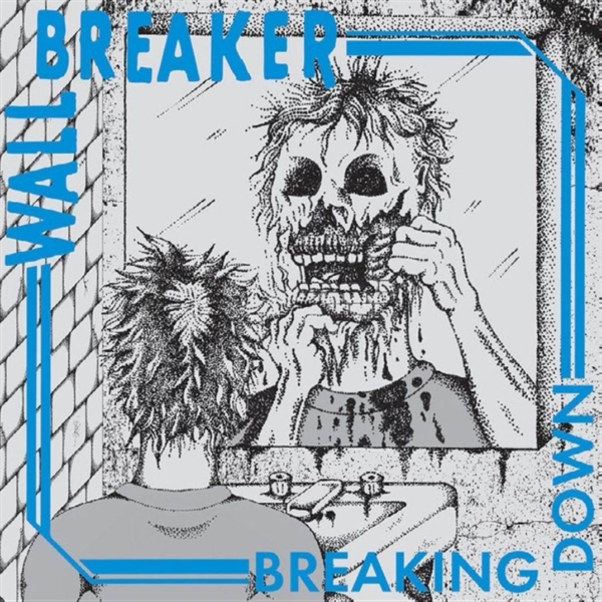 Afbeelding van Wall Breaker - Breaking Down
