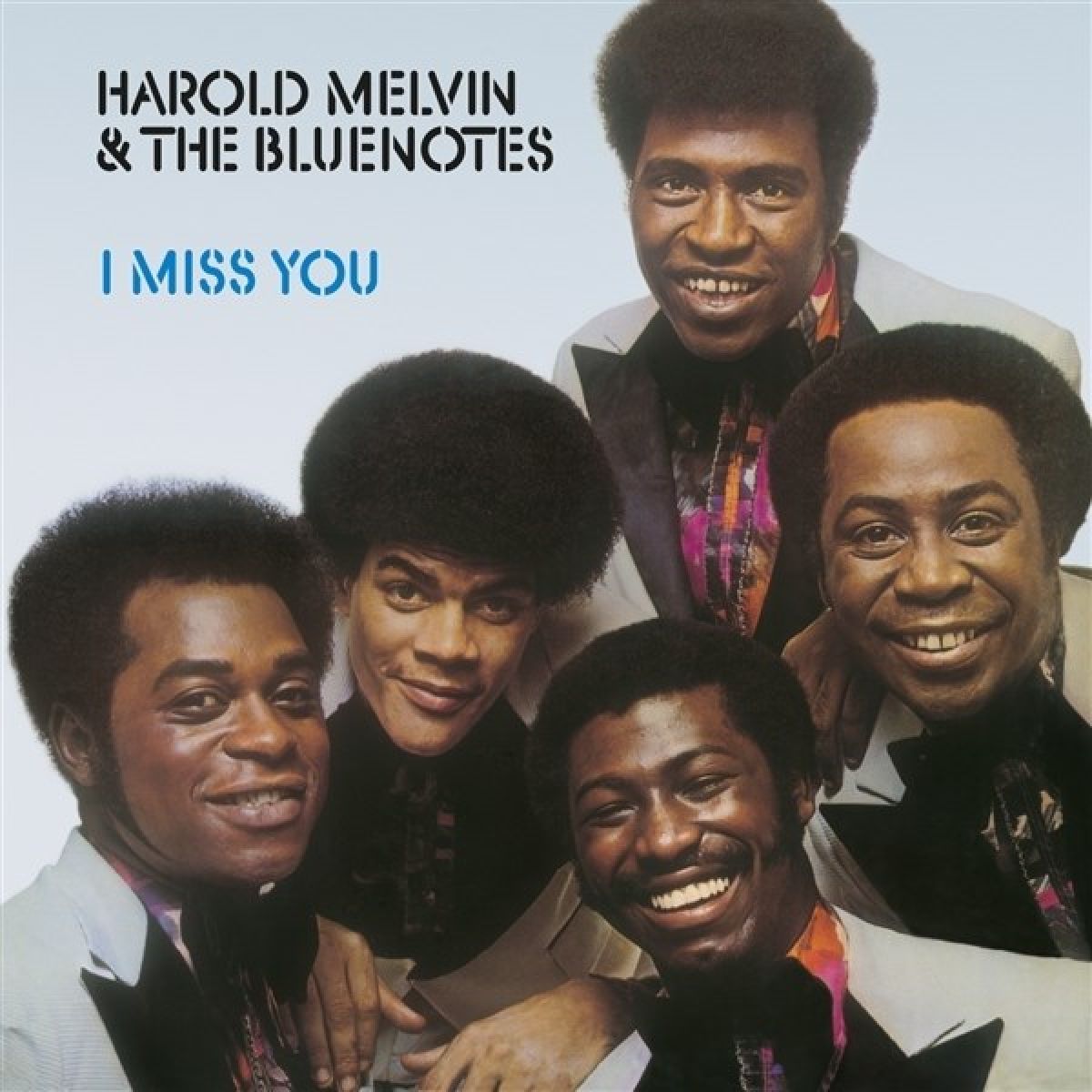 Afbeelding van Harold Melvin & The Blue Notes - I Miss You