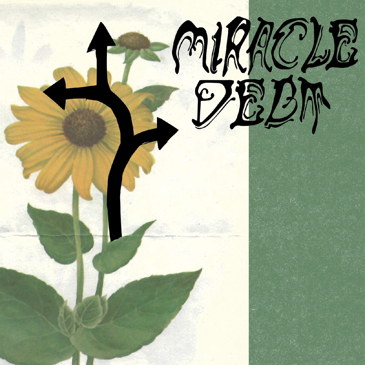 Miracle Debt - Under The Shadow