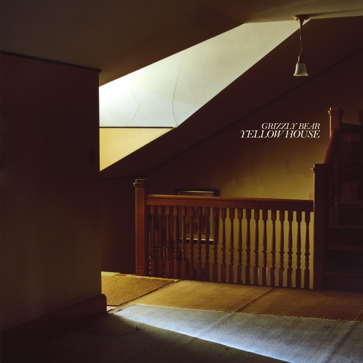 Afbeelding van Grizzly Bear - Yellow House