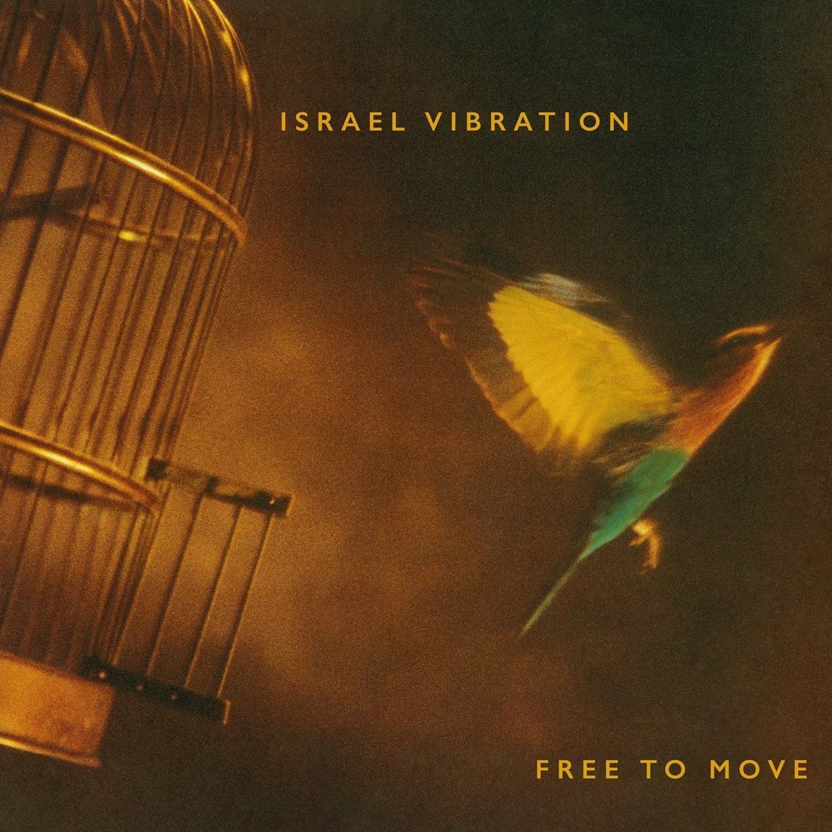 Afbeelding van Israel Vibration - Free To Move