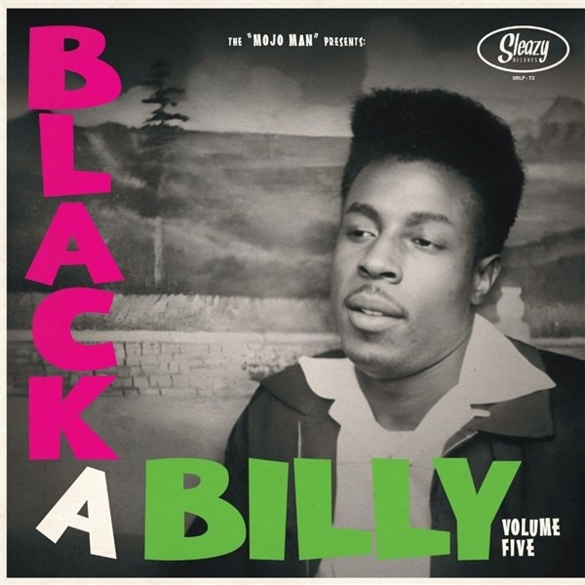 Afbeelding van Various Artists - Black-A-Billy, Vol. 5