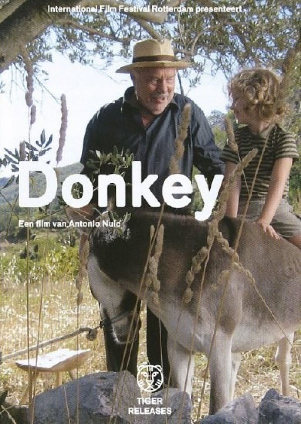 Donkey