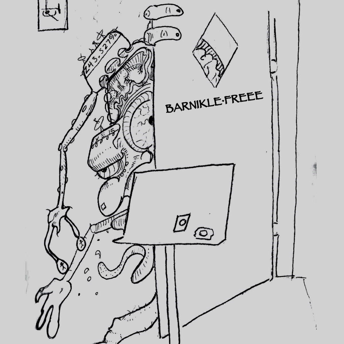 Afbeelding van Barnikle-Freee - Koincidence