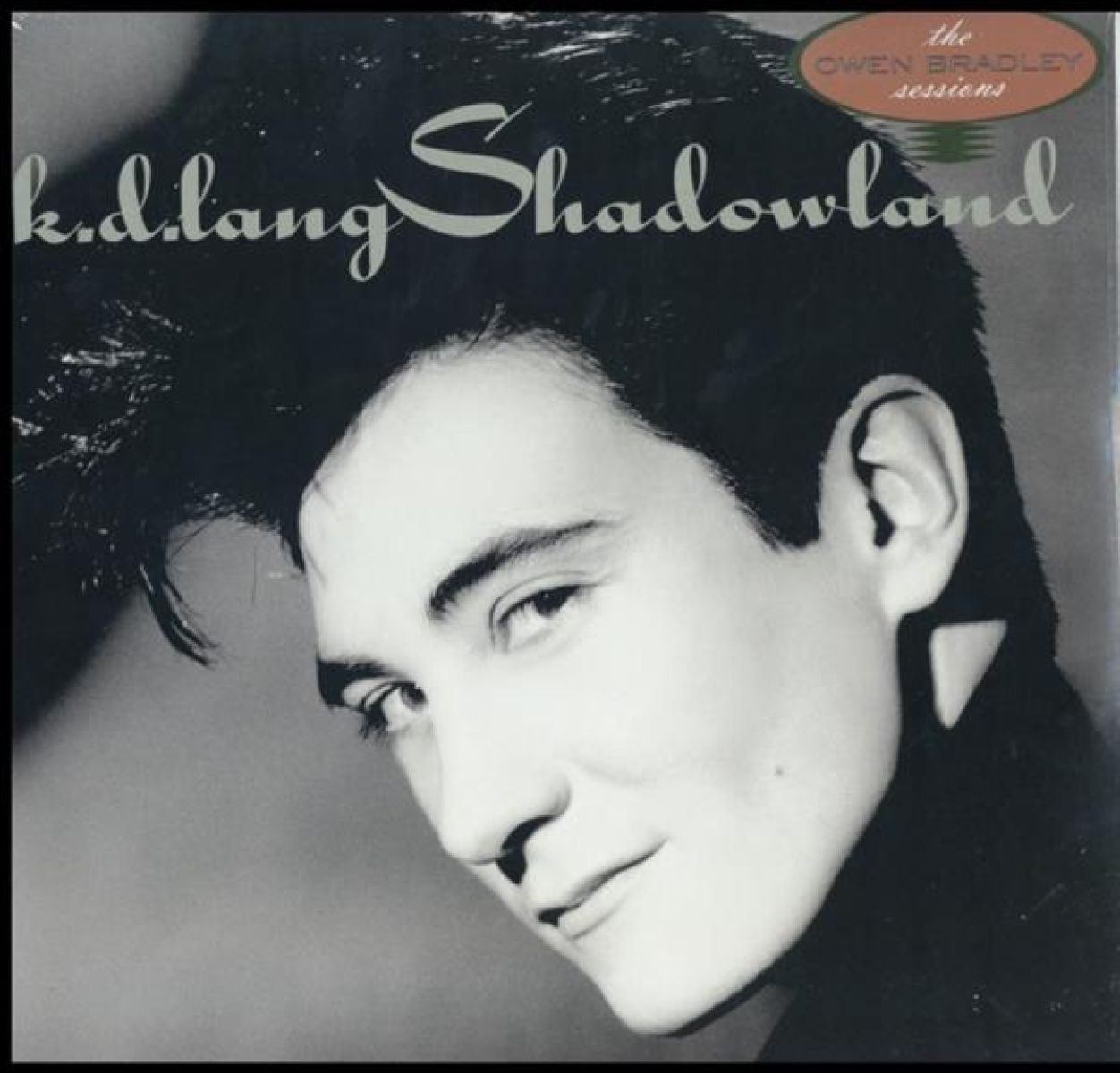 Afbeelding van Shadowland