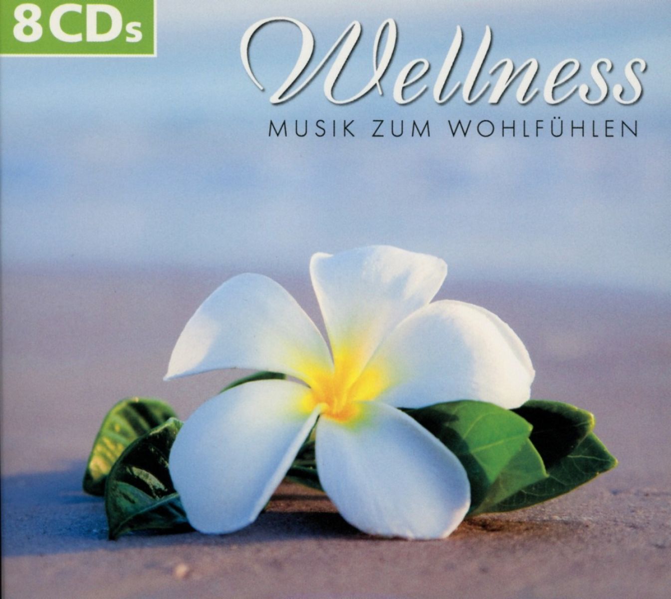 Various Artists - Wellness Musik Zum Wohlfuhlen