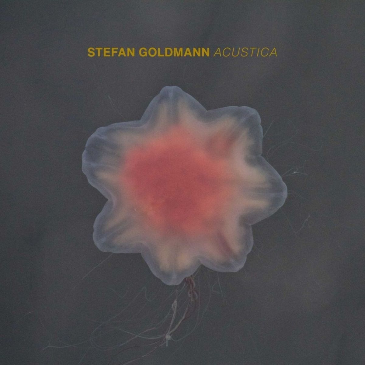 Afbeelding van Stefan Goldmann - Acustica