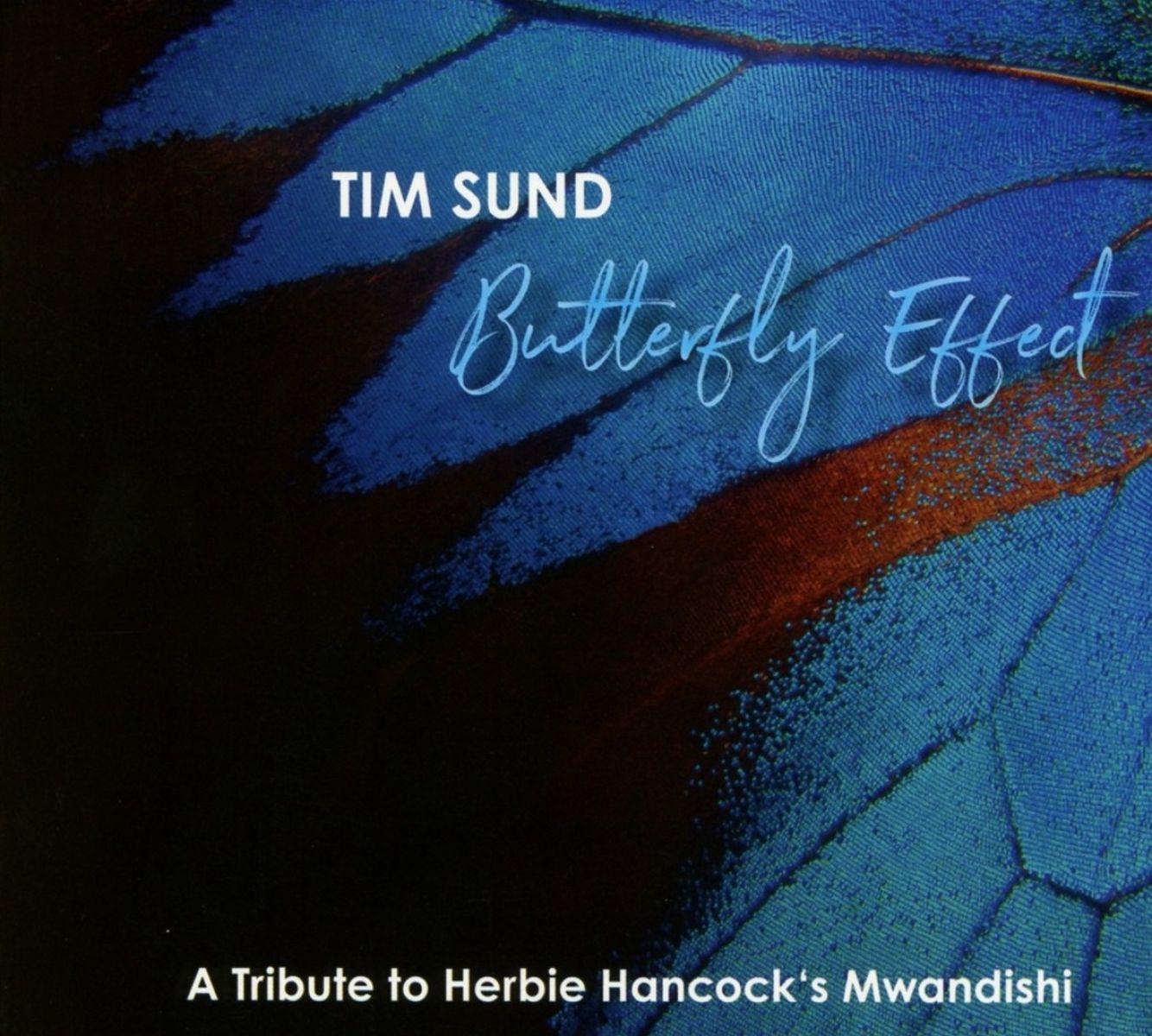 Afbeelding van Tim Sund - Butterfly Effect