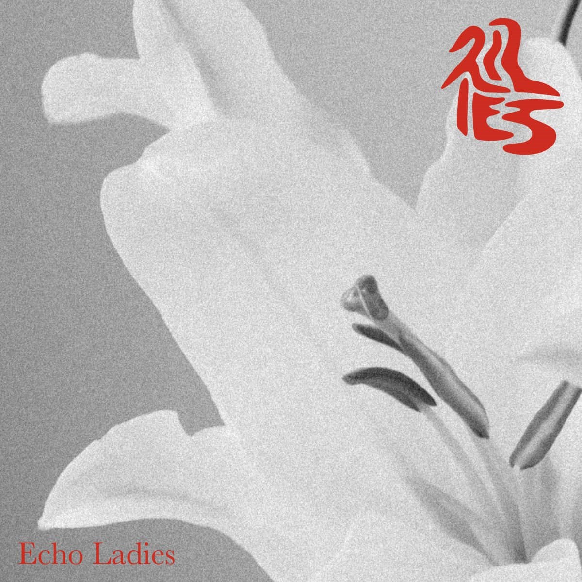 Afbeelding van Echo Ladies - Lilies