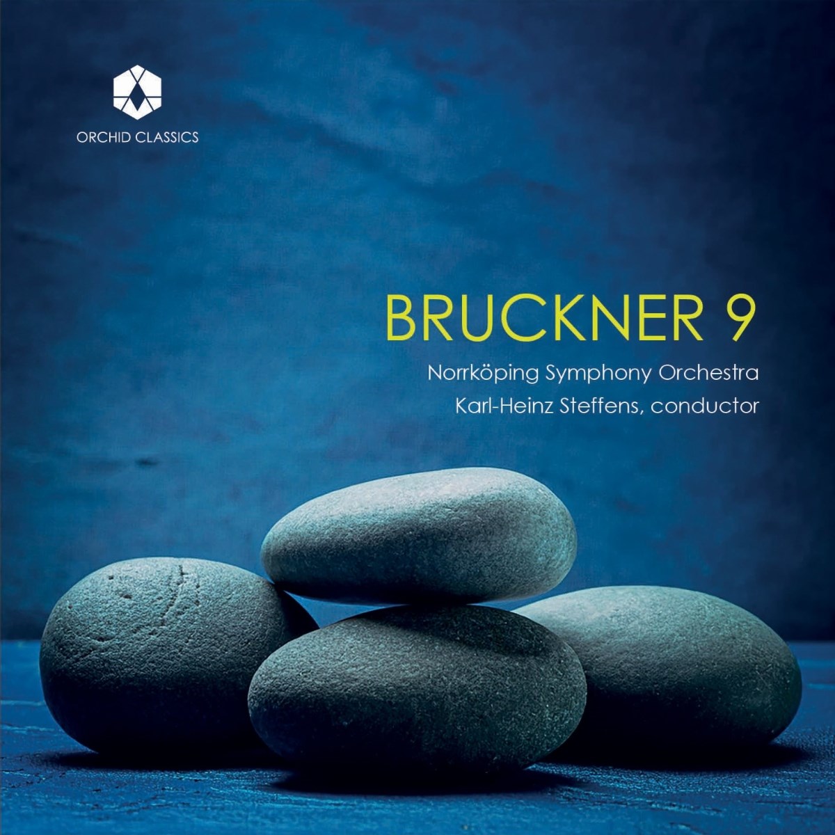 Afbeelding van Norrkoping Symphony Orchestra, Karl-Heinz Steffens - Bruckner: Symphony No. 9